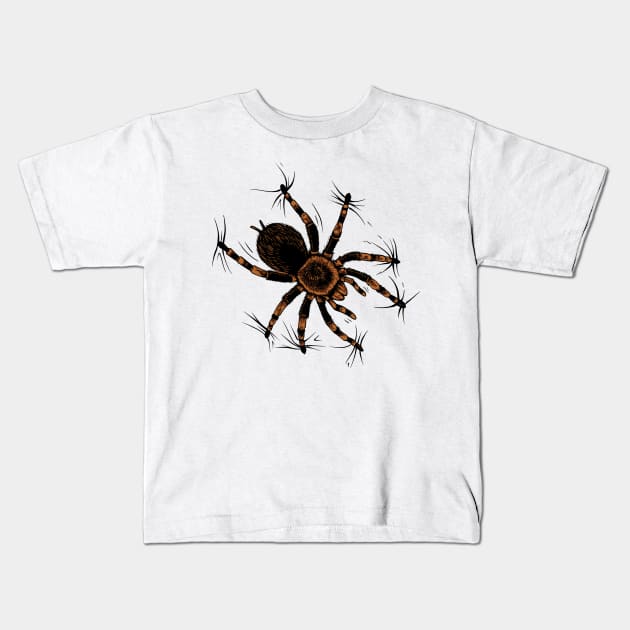 Spider lover - climbing tarantula Kids T-Shirt by Modern Medieval Design